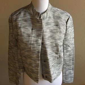 Fossil Crop Blazer